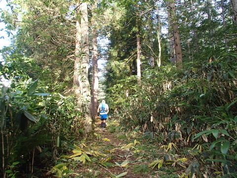P9140039