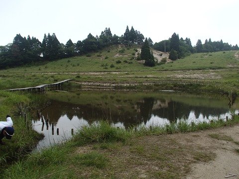 P6220043