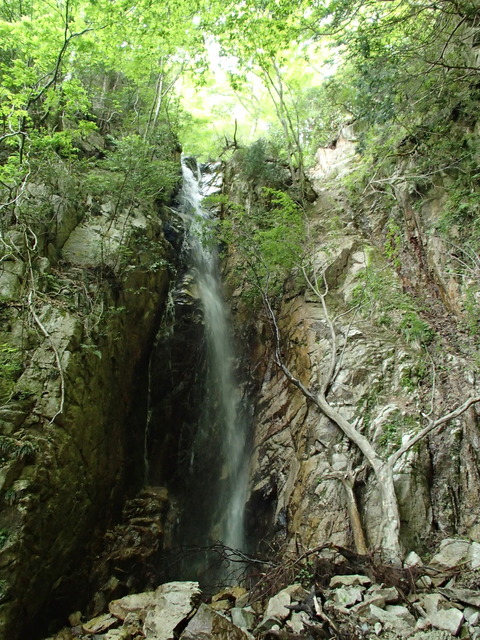 P5240099
