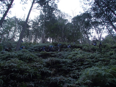 P3220033