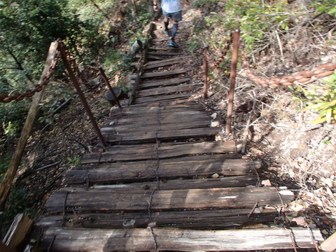 P3220055
