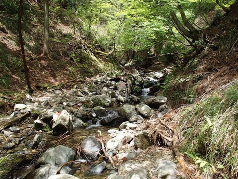 P5240038