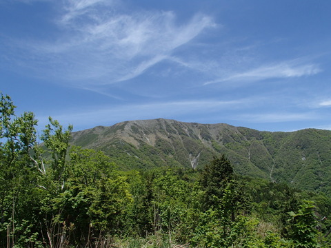 P5180153