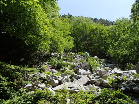 P5240005
