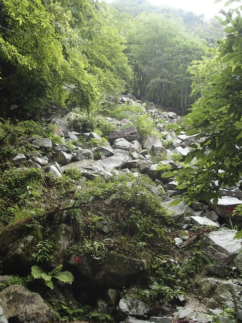P6220004