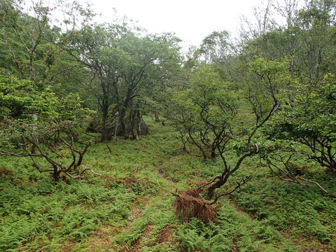 P6200012