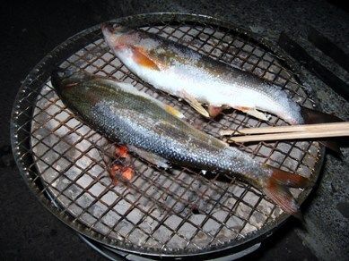 不人気魚 ウグイ料理を試作 Kunirinblog
