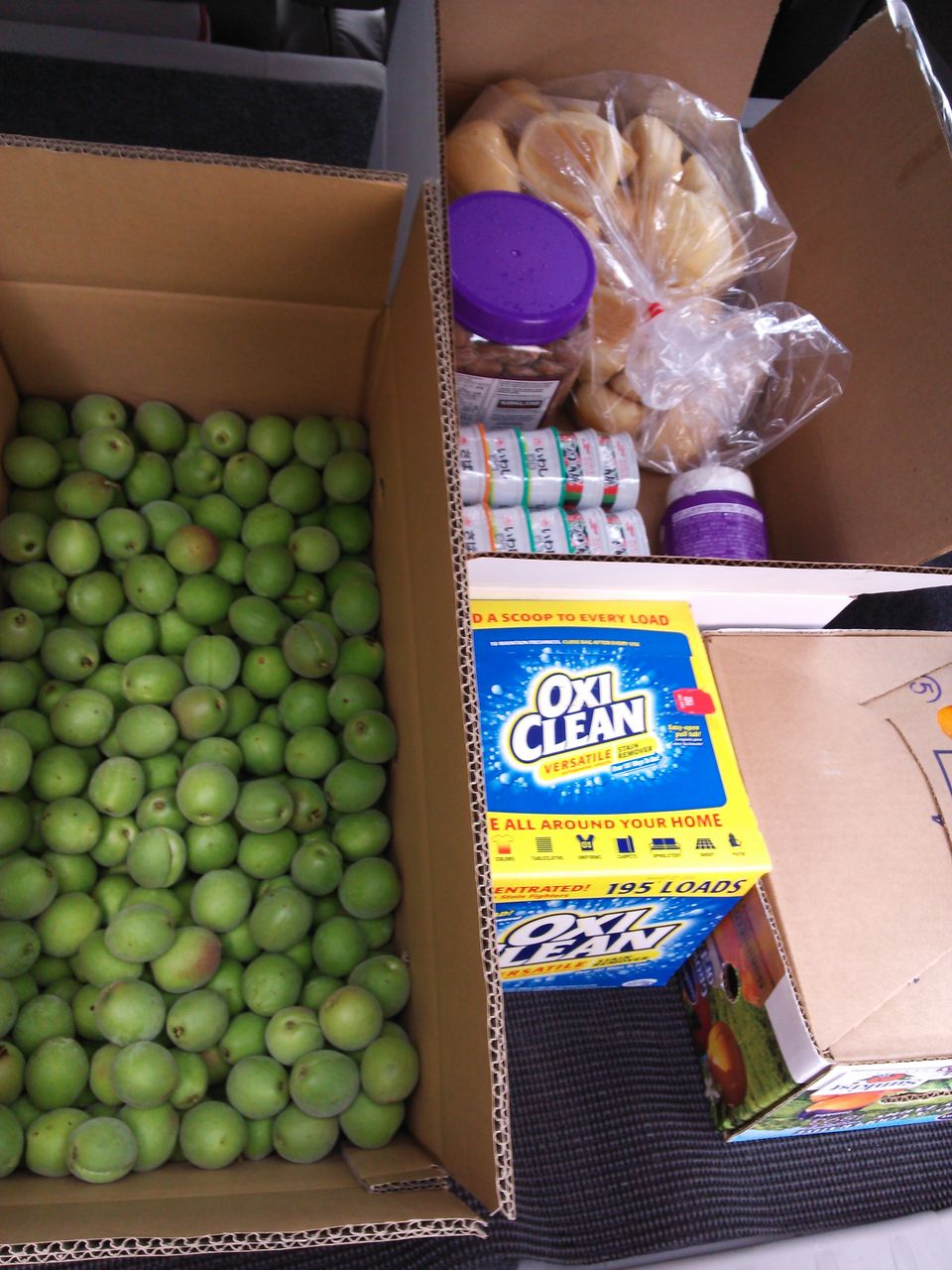 梅酒用の梅 白加賀 調達 コストコ経由で 国定の風