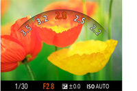 0516v