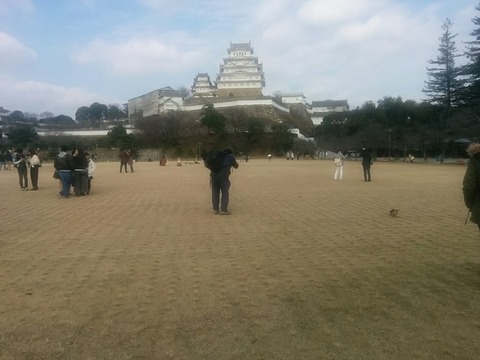 CYMERA_20170102_131534