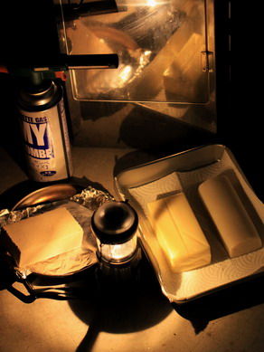 kamaboko20110318-003