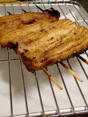 unagi20090725-001.JPG
