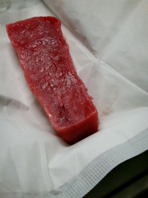 maguro20090805-002.JPG