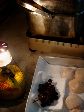 raisin20090216-003.JPG