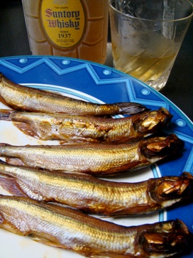 shishamo20080525-003.JPG