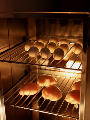 hotate20100107-002