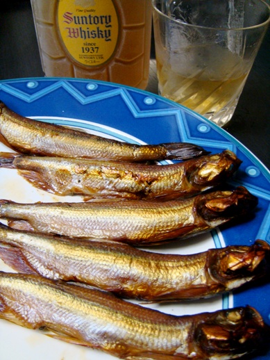 shishamo20080525-777.JPG