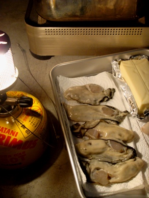 oyster20081215-002.JPG