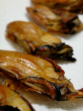 oyster20081215-004.JPG