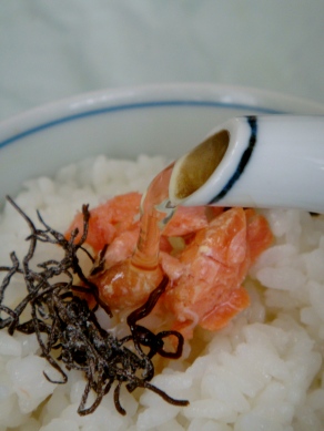 sakecha20090822-002.JPG
