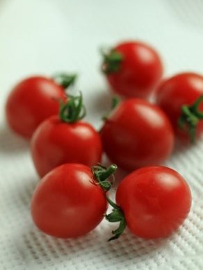 20130831putitomato-001