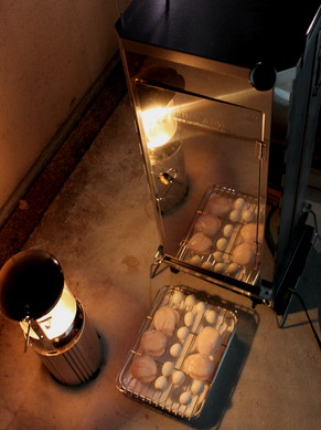 hotate20100107-001