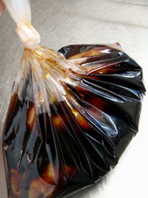 sasami20090901-004.JPG