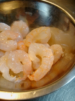 ebi20080716-001.JPG