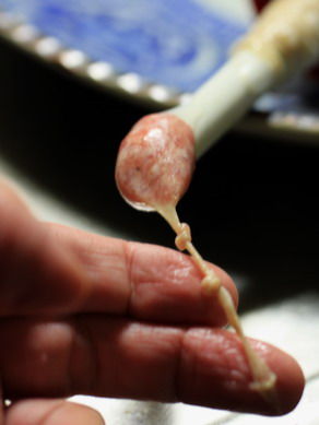 sausage2110115-012
