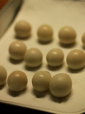 20120529uaurashio-004