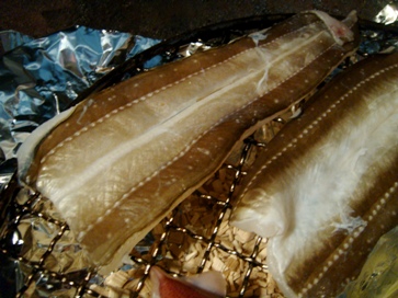 anago20080529-003.JPG