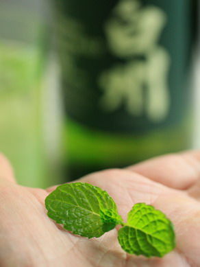 morikaoru20101031-003