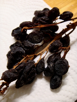 raisin20090216-002.JPG