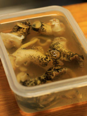 tubu20110210-004