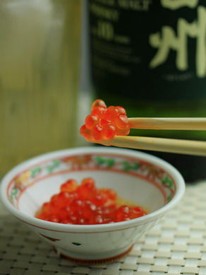 ikuraoil20100903-004