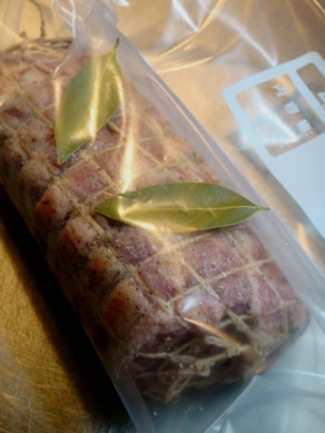 ham20090408-004.JPG