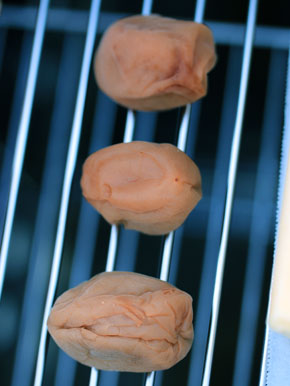 20150217umeboshi-004