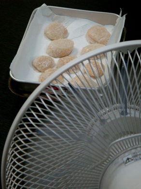 steam20090728-006.JPG