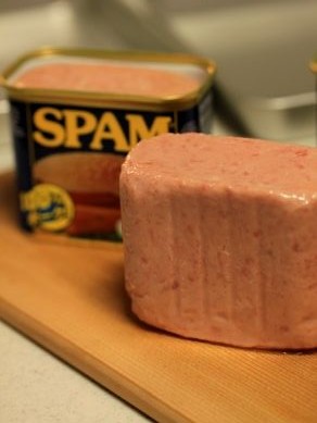 20130730spamjuerkey-002