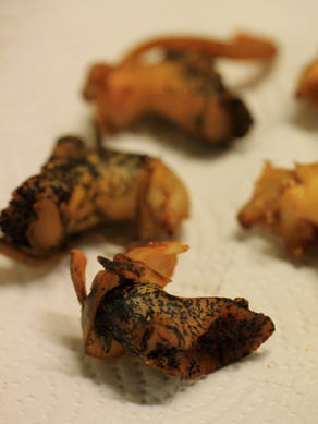 tubu20110210-008