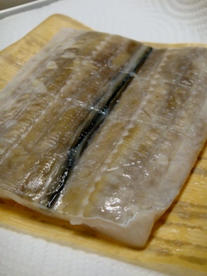 anago20080808-001.JPG