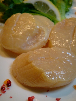 hotate20081226-003.JPG