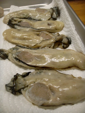 oyster20081215-001.JPG