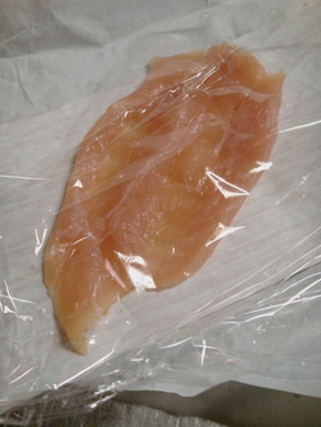 sasami20090901-003.JPG
