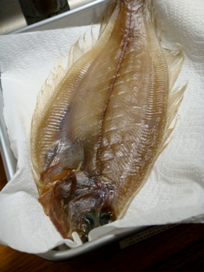 karei20080806-002.JPG