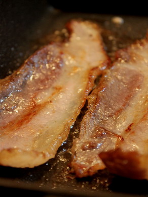bacon20100114-008