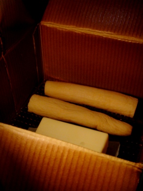 iburigakko20090928-003.JPG