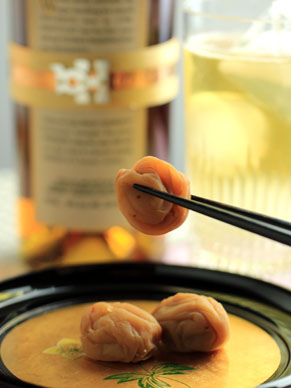 20150217umeboshi-009