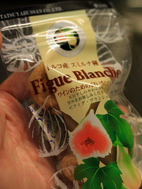 ichijiku20101114-005