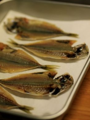 20120508koaji-002
